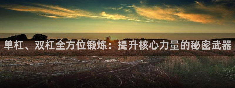 富联娱乐下载：单杠、双杠全方位锻炼：提升核心力量的秘